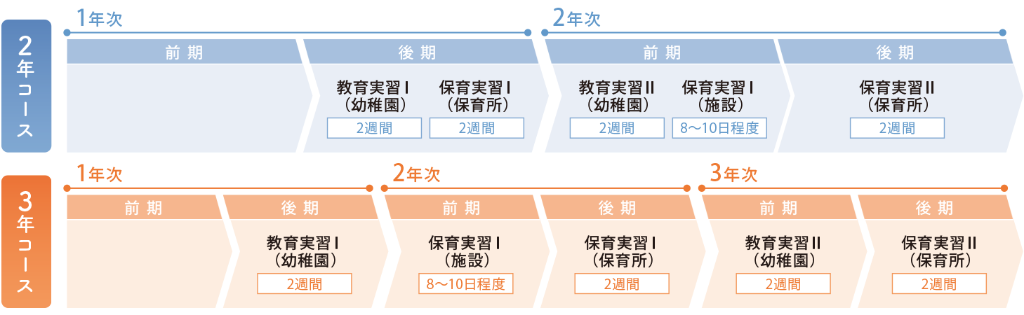 
                2年コースと3年コースの保育・教育実習の流れを比較した図。いずれも1年次後期から段階的に幼稚園・保育所・施設での実習が行われる。
                