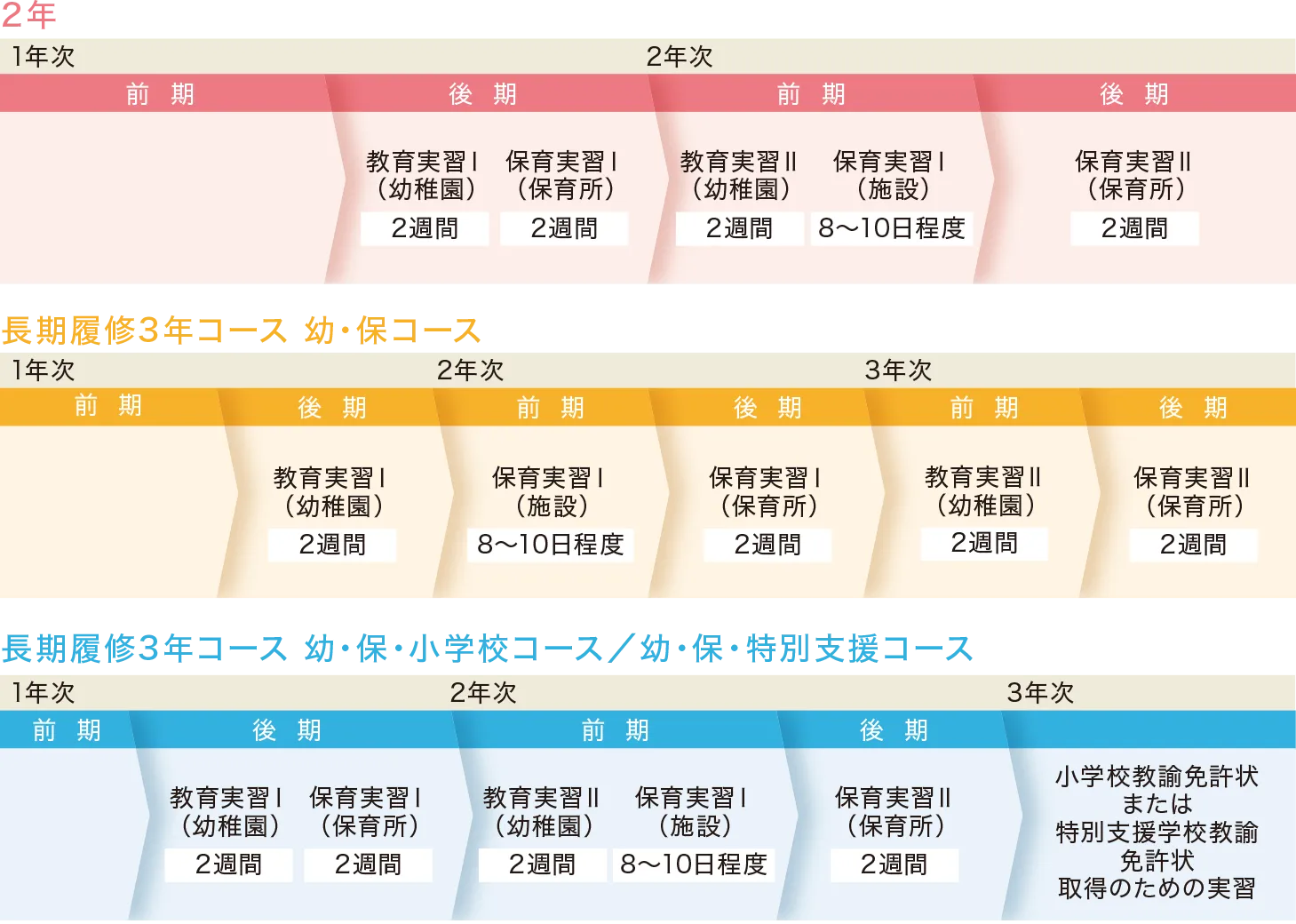 
                2年コースと3年コースの保育・教育実習の流れを比較した図。いずれも1年次後期から段階的に幼稚園・保育所・施設での実習が行われる。
                